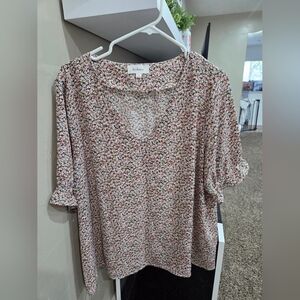 Bohme White and Gray Raglan Crop Blouse